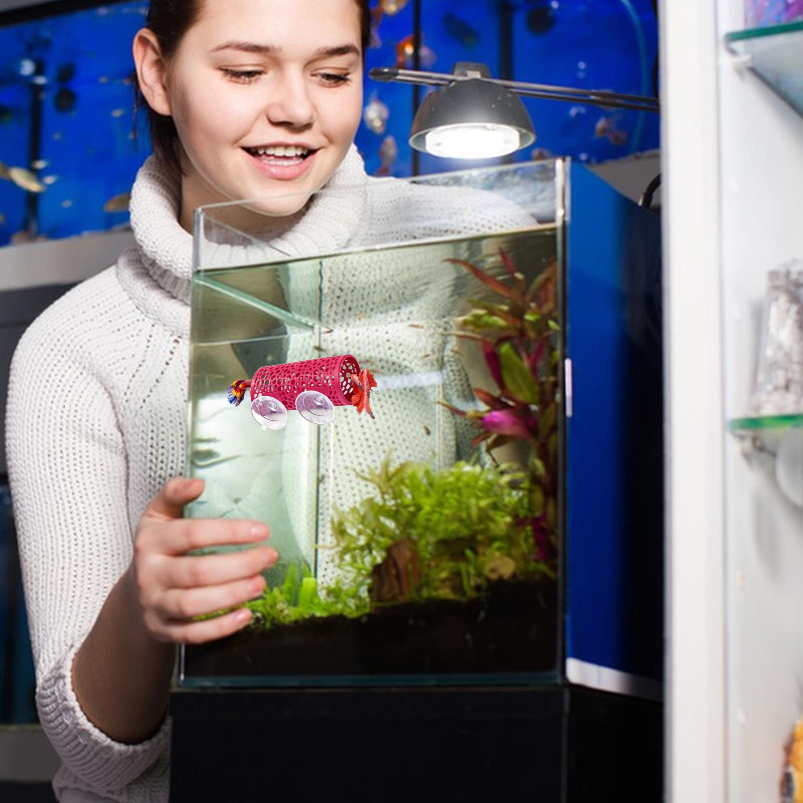 Pet Supplies Fish - Habitat pour betta, abri de repos,