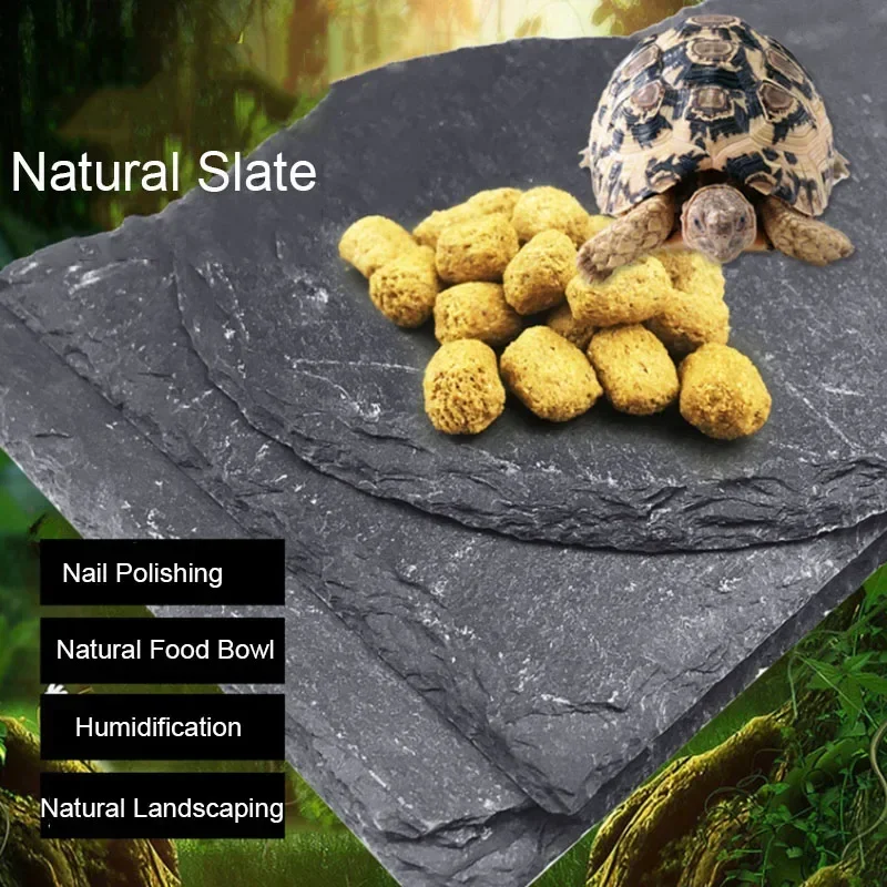 Pet Supplies Fish - Filles d'Aquarium en Ardoise Naturelle pour