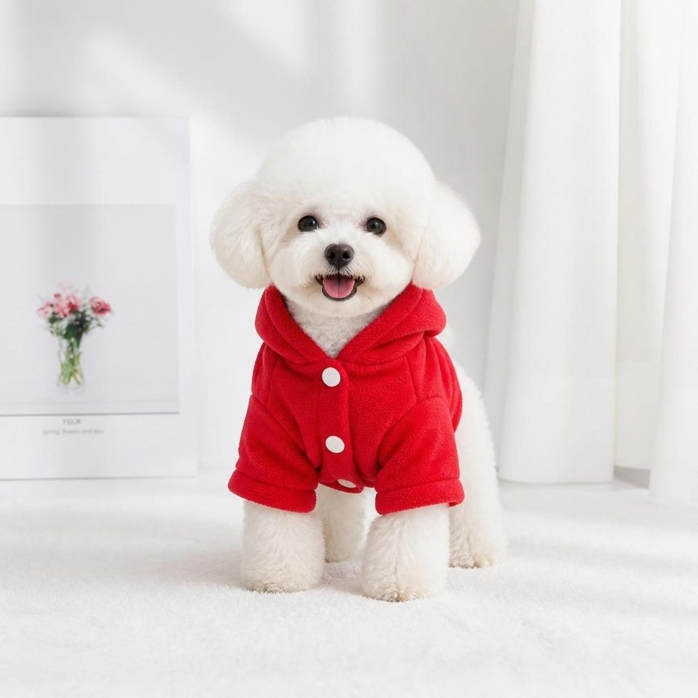 Pet Supplies Brighton - Vêtements pour animaux de compagnie, hiver,