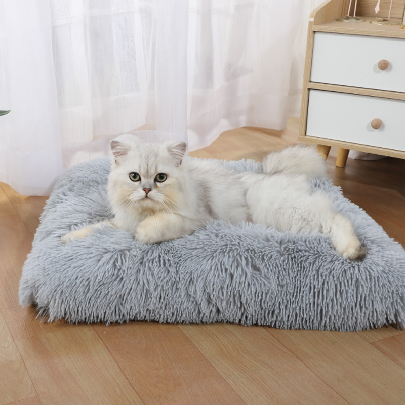 Pet Supplies Amazon - Nouveau Tapis de Couchage pour Chien