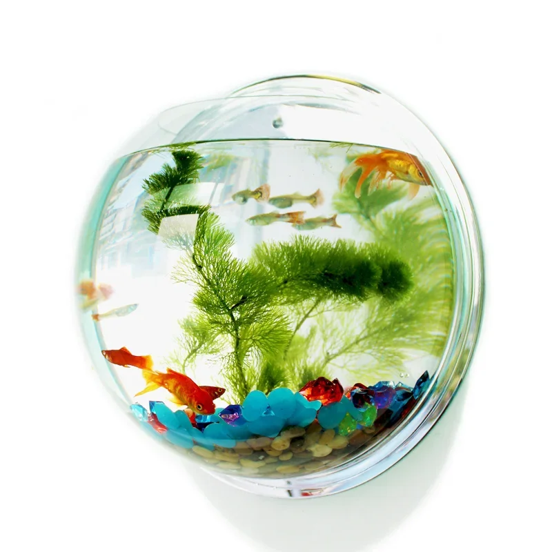 Pet Supplies Fish - PinsFIGs-Filles mural en acrylique pour aquarium,