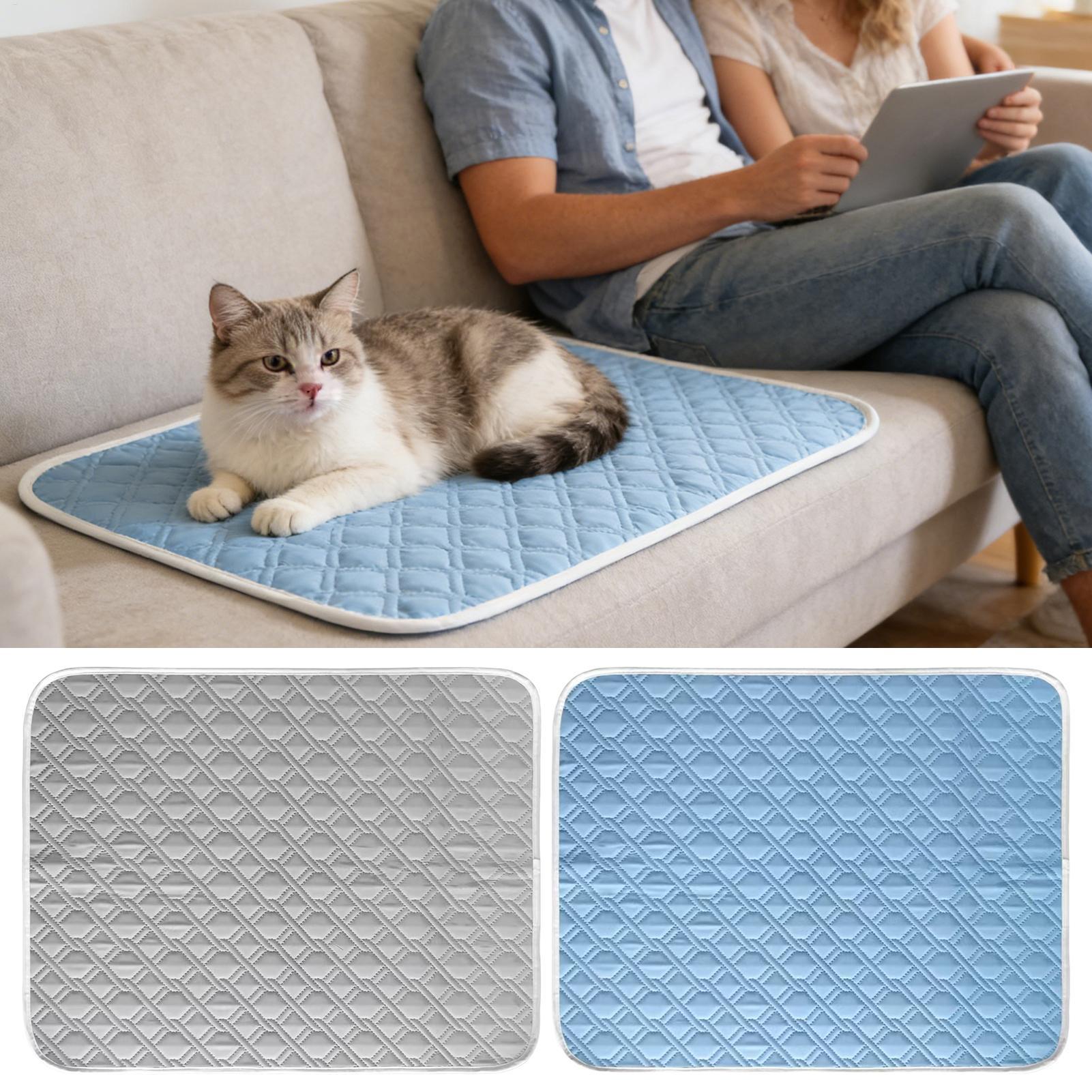 Pet Supplies Self Wash - Tapis rafraîchissant d'été pour animaux de
