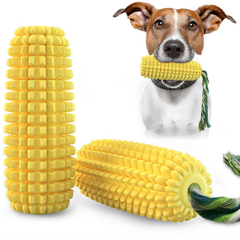 Pet Supplies Amazon - Fournitures pour animaux de compagnie :
