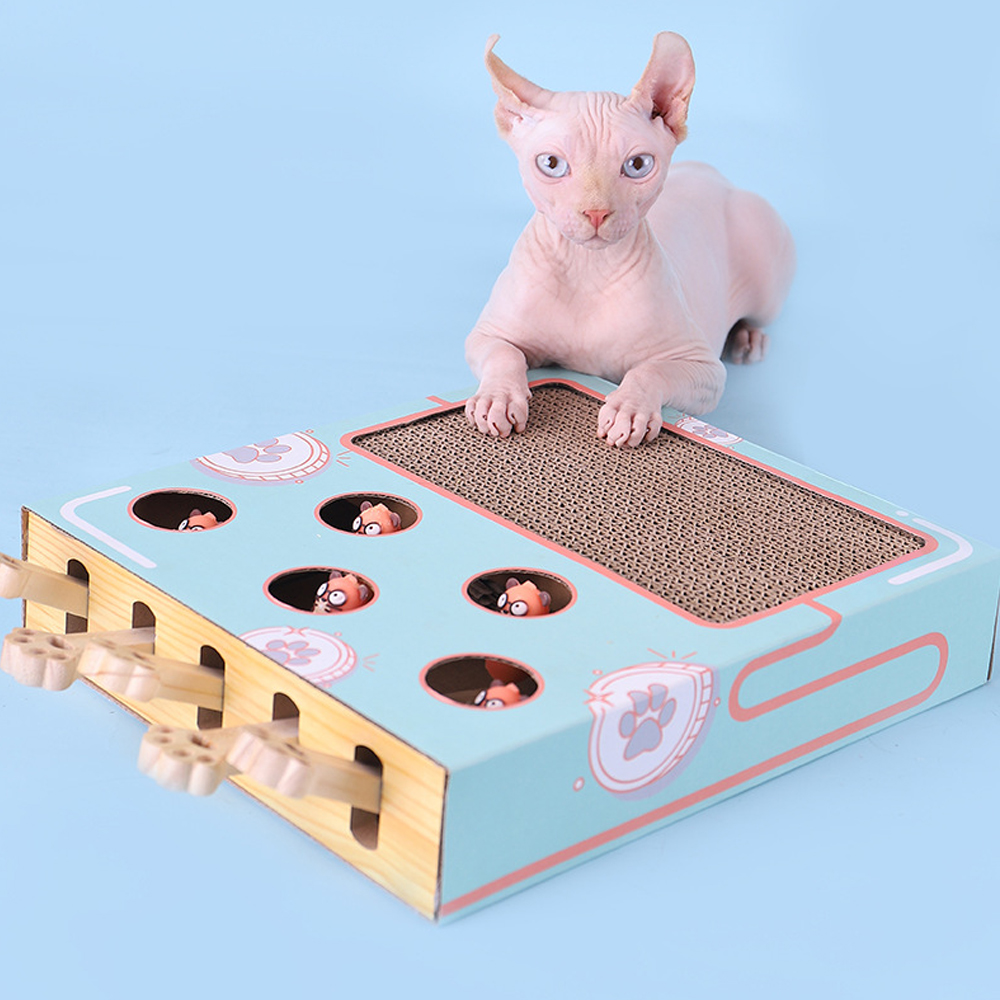 Dog Treat Puzzle Toy - Boîte de jeu pour chat, labyrinthe
