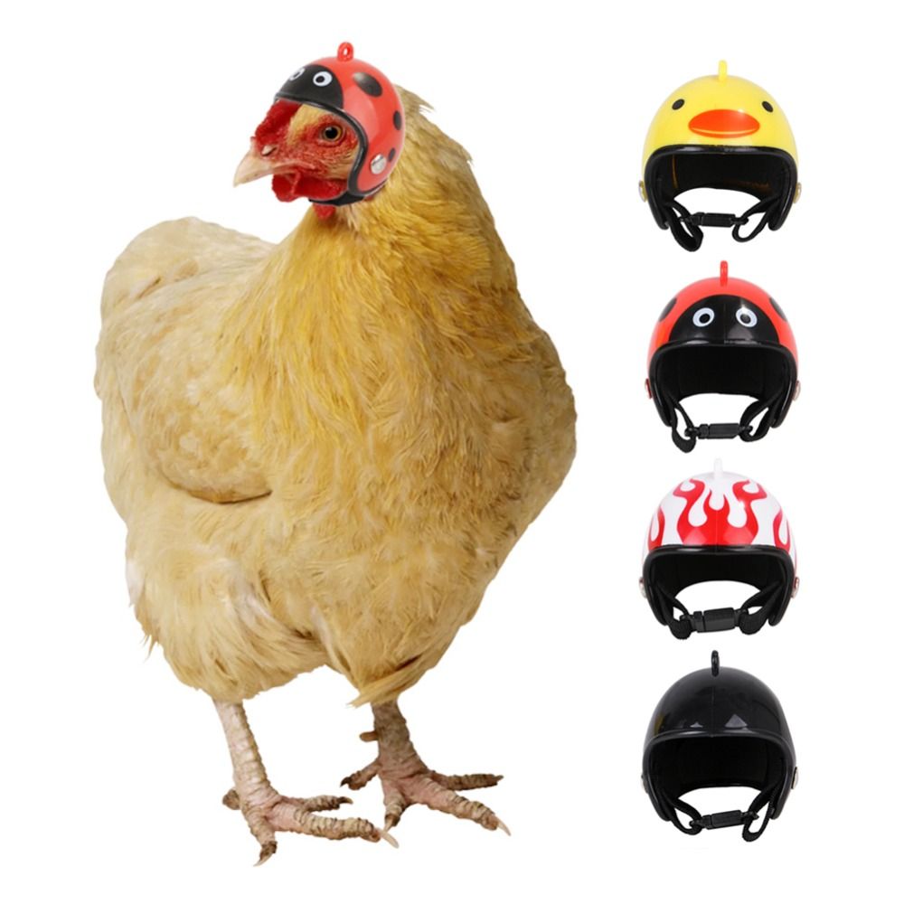 Pet X Supplies & Tack Grooming - Accessoires pour animaux de compagnie ABS