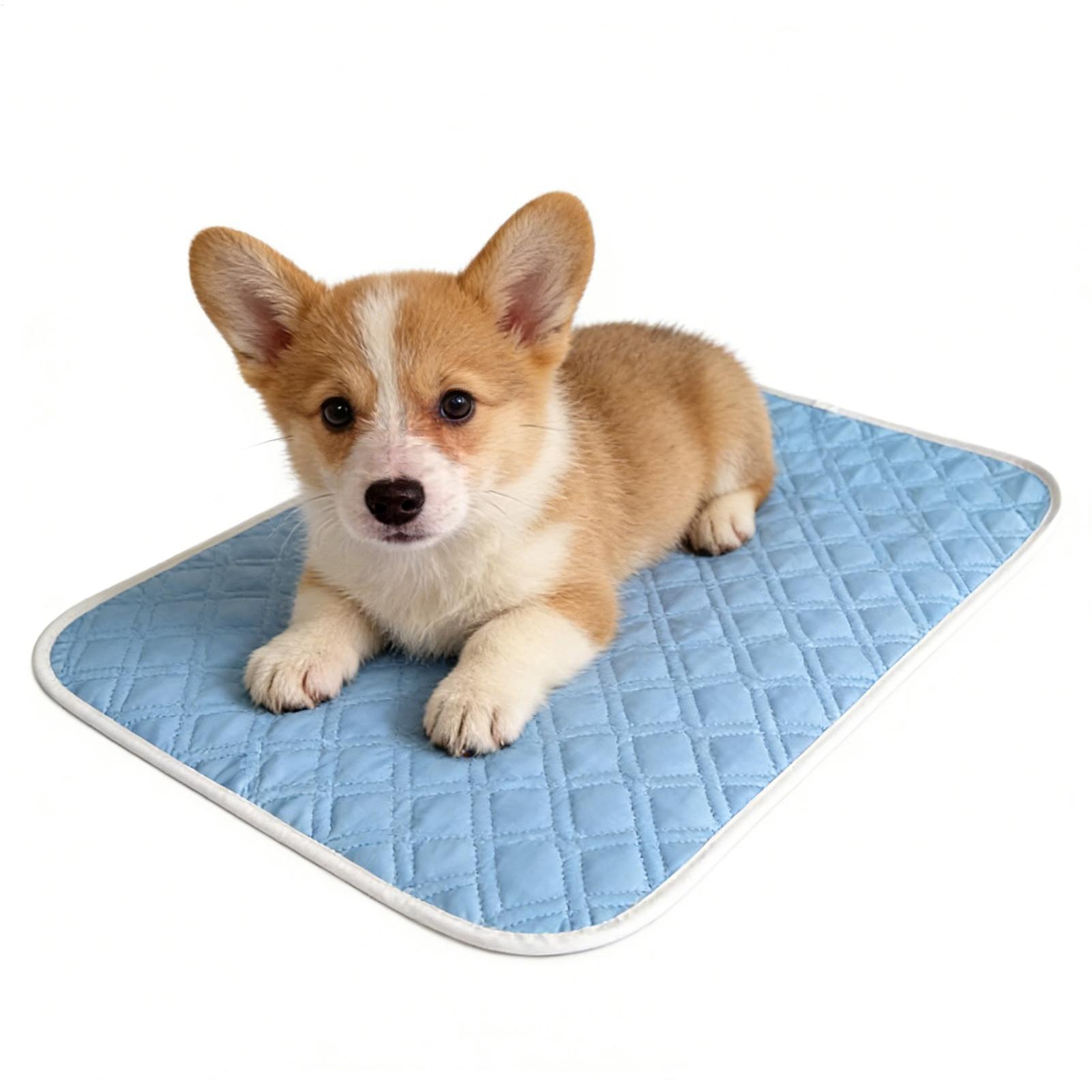 Pet Supplies Self Wash - Tapis rafraîchissant pour animaux de compagnie