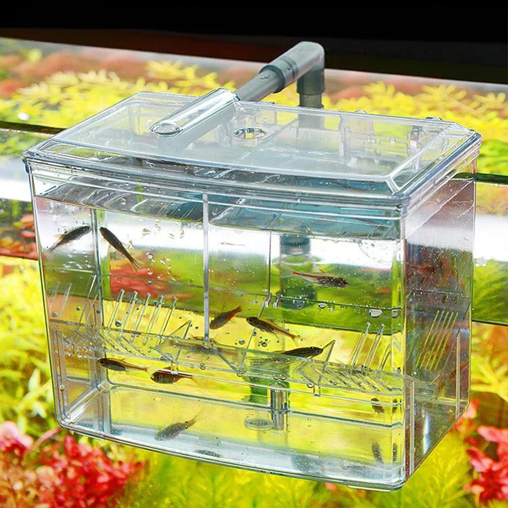 Boîte d'élevage de poissons d' - Pet Supplies Fish avis et prix