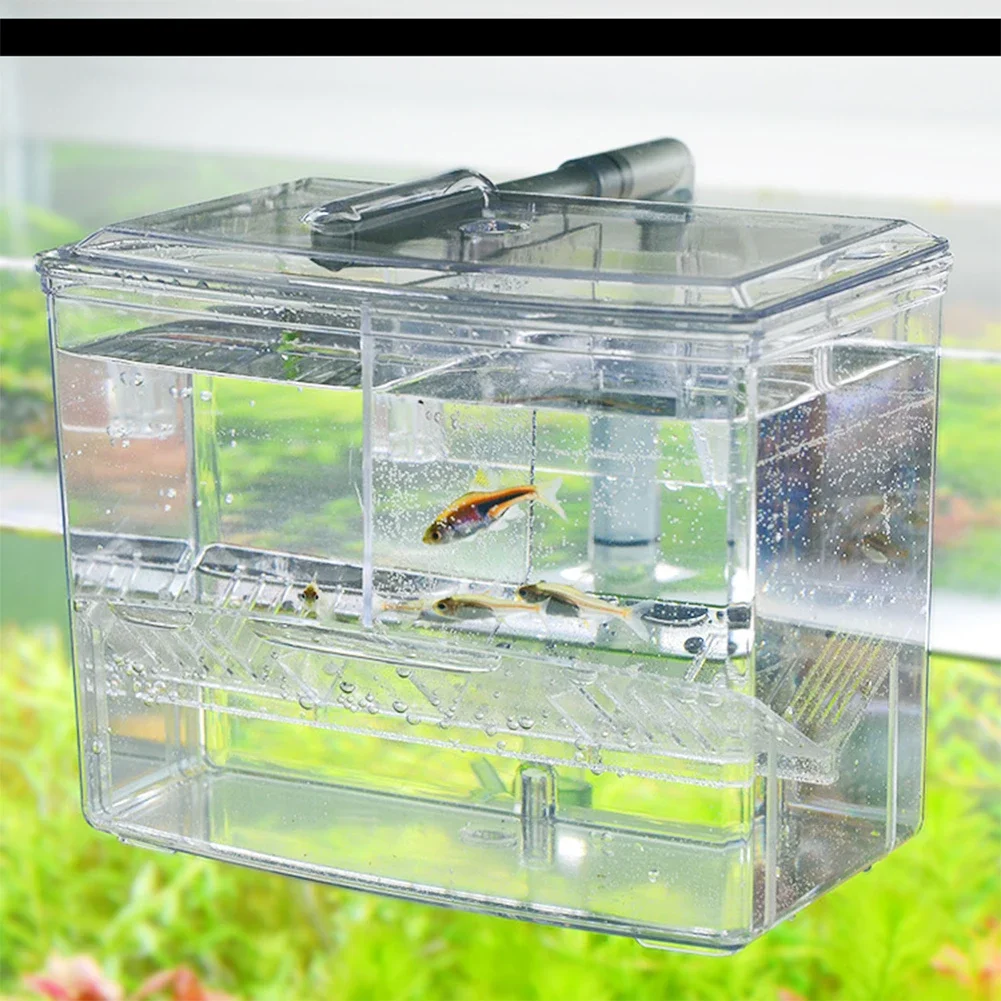Boîte d'élevage de poissons d' - Pet Supplies Fish avis et prix