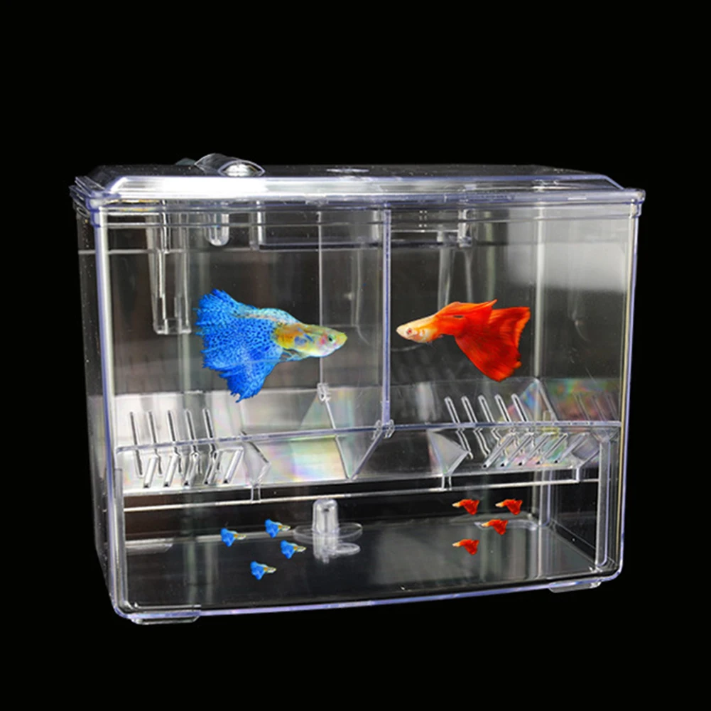 Boîte d'élevage de poissons d' - Pet Supplies Fish avis et prix