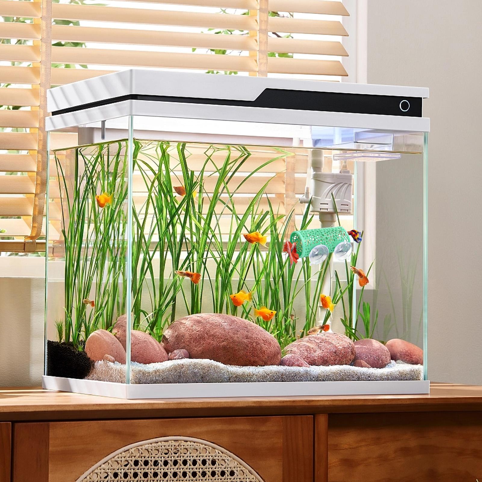 Habitat pour betta, abri de re - Pet Supplies Fish avis et prix