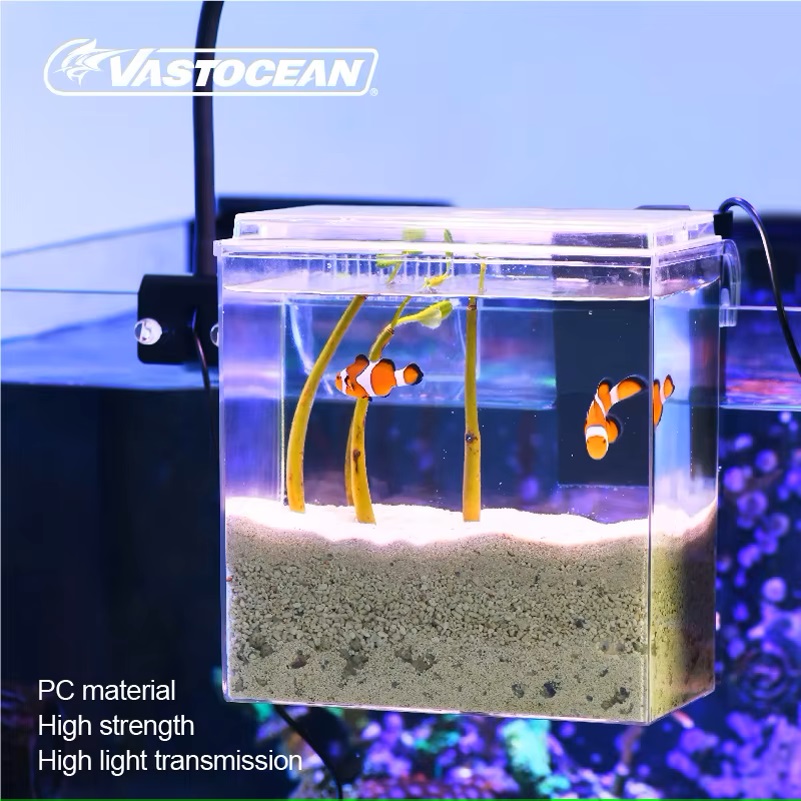 VASTOCEAN – boîte d'alimentati - Pet Supplies Fish avis et prix