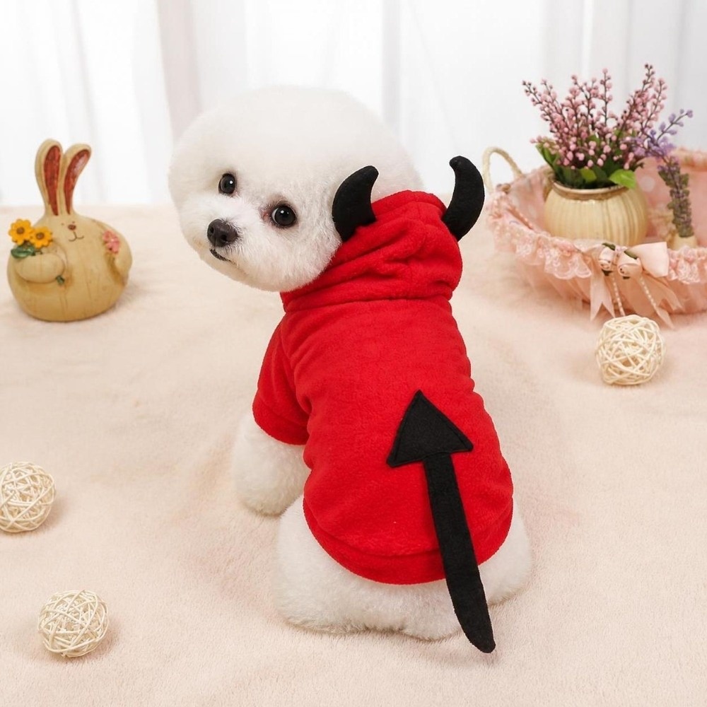 Vêtements pour animaux de comp - Pet Supplies Brighton avis et prix