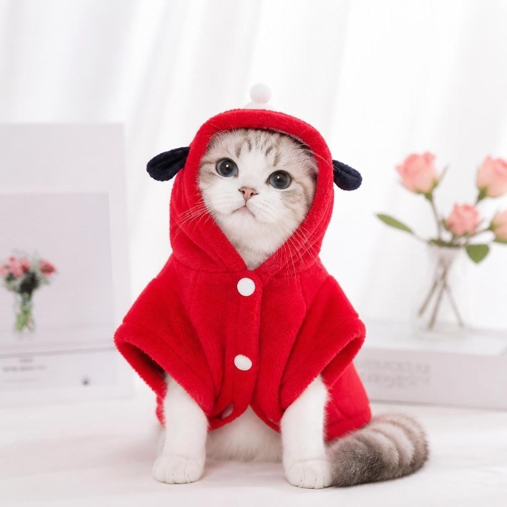 Vêtements pour animaux de comp - Pet Supplies Brighton avis et prix