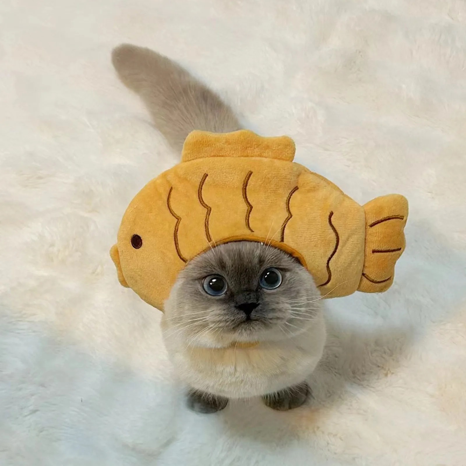 Chapeau de chat de dessin anim - Pet Supplies Fish avis et prix