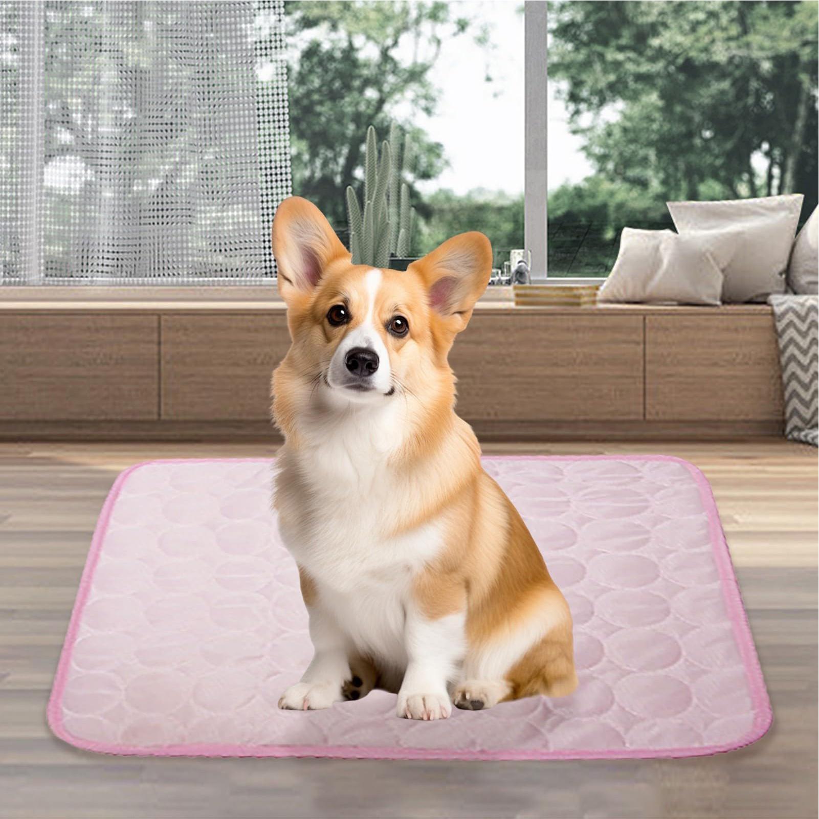 Tapis rafraîchissant d'été pou - Pet Supplies Self Wash avis et prix