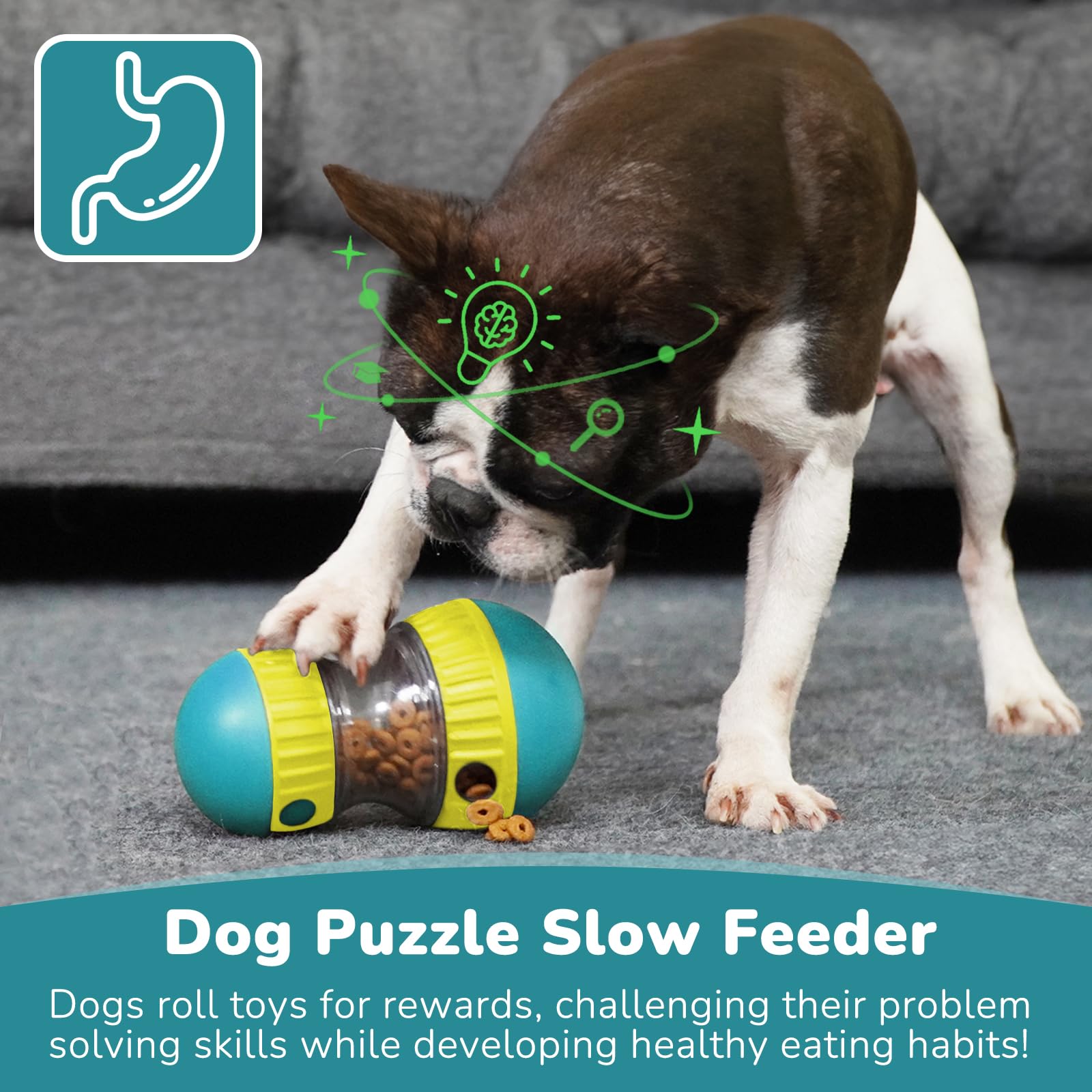 Jouets pour chiens et balle d' - Dog Treat Puzzle Toy avis et prix