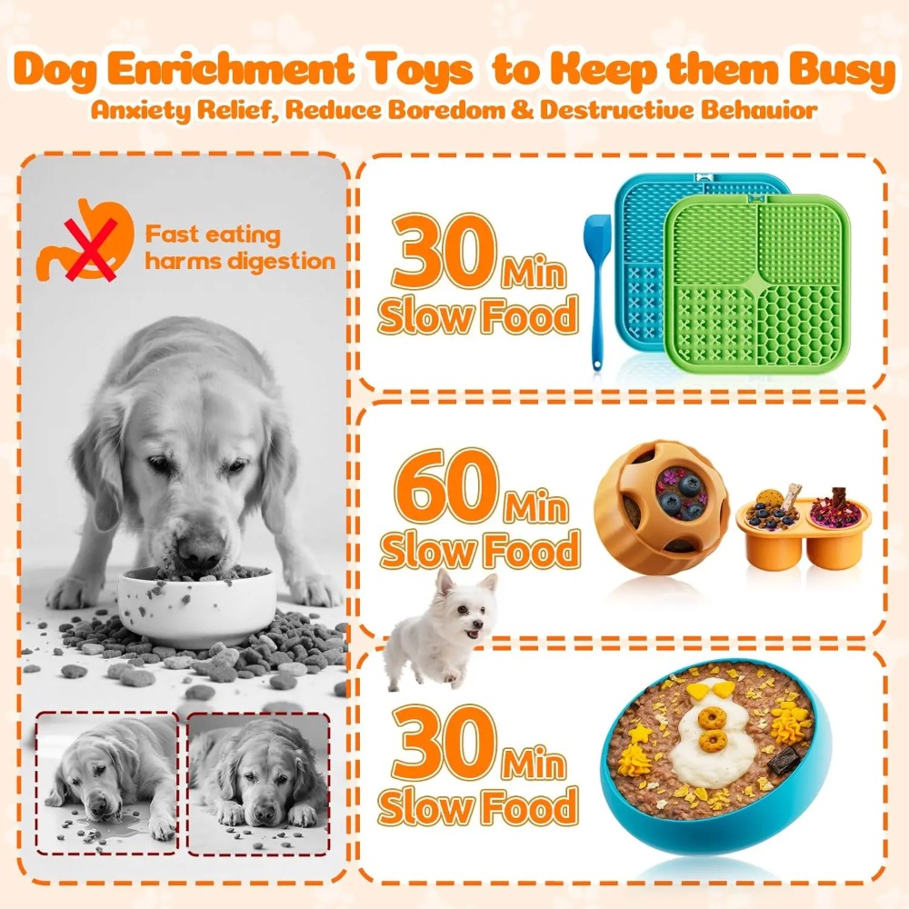 Jouets d'enrichissement pour c - Dog Treat Puzzle Toy avis et prix
