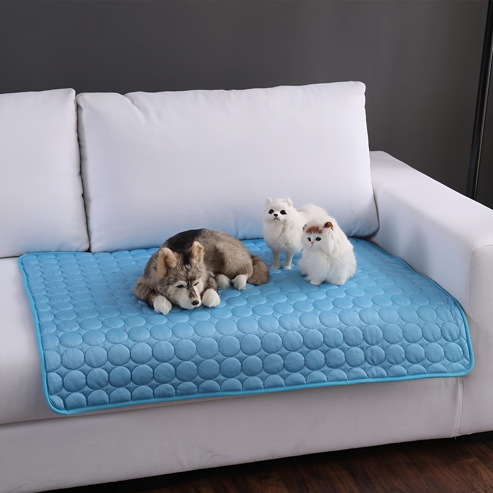 Polymères refroidissants pour  - Pet Supplies Self Wash avis et prix