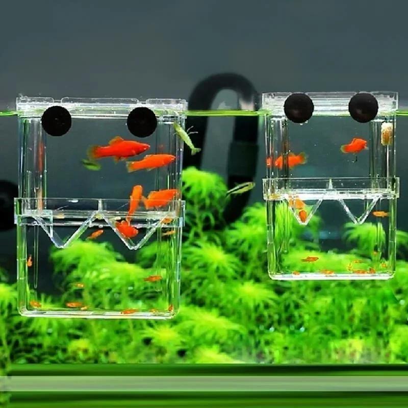 Boîte d'isolation transparente - Pet Supplies Fish avis et prix