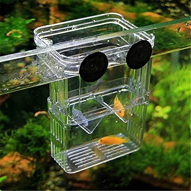 Boîte d'isolation transparente - Pet Supplies Fish avis et prix