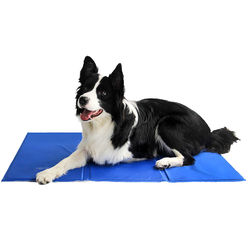 Tapis rafraîchissant pour anim - Pet Supplies Self Wash avis et prix