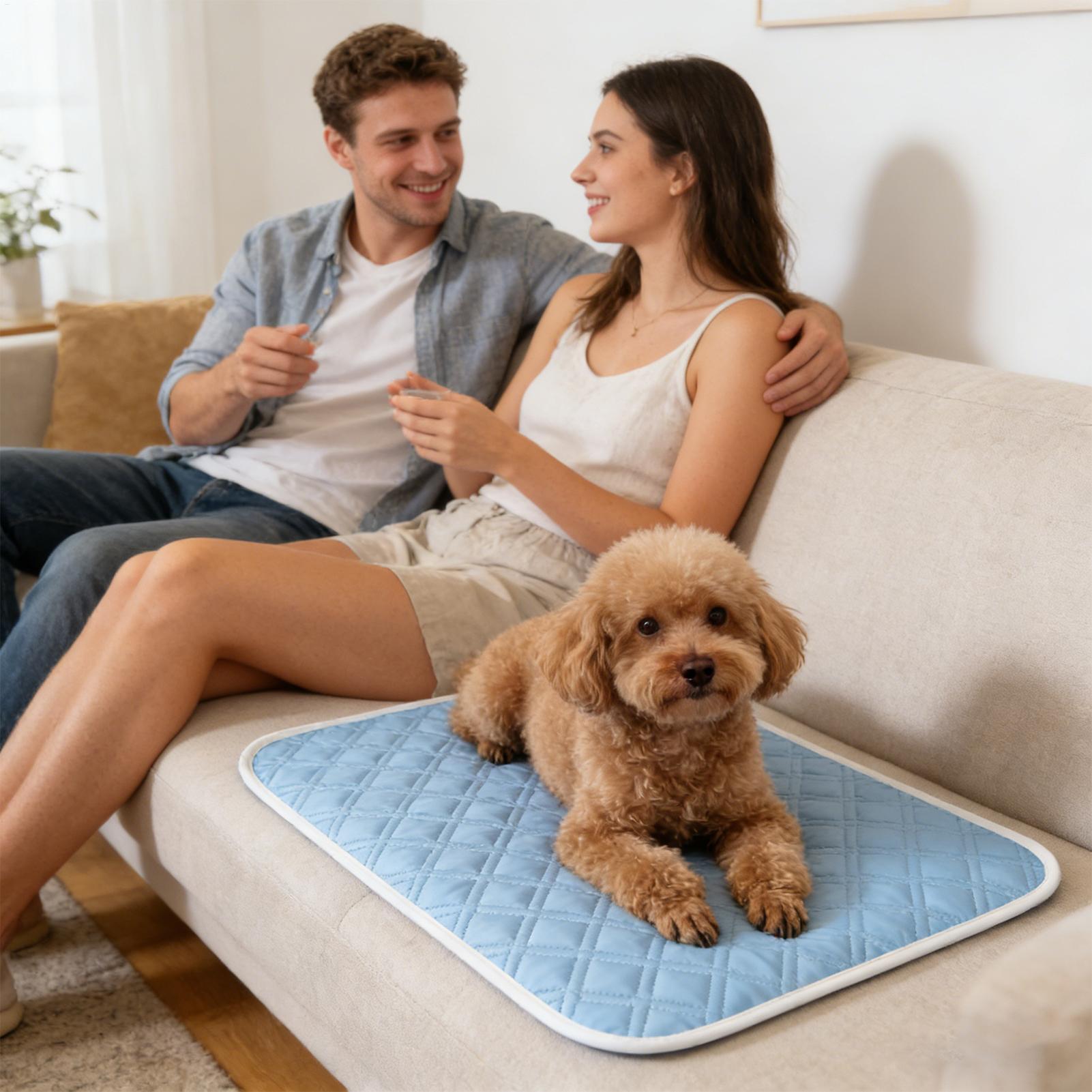Tapis rafraîchissant d'été pou - Pet Supplies Self Wash avis et prix