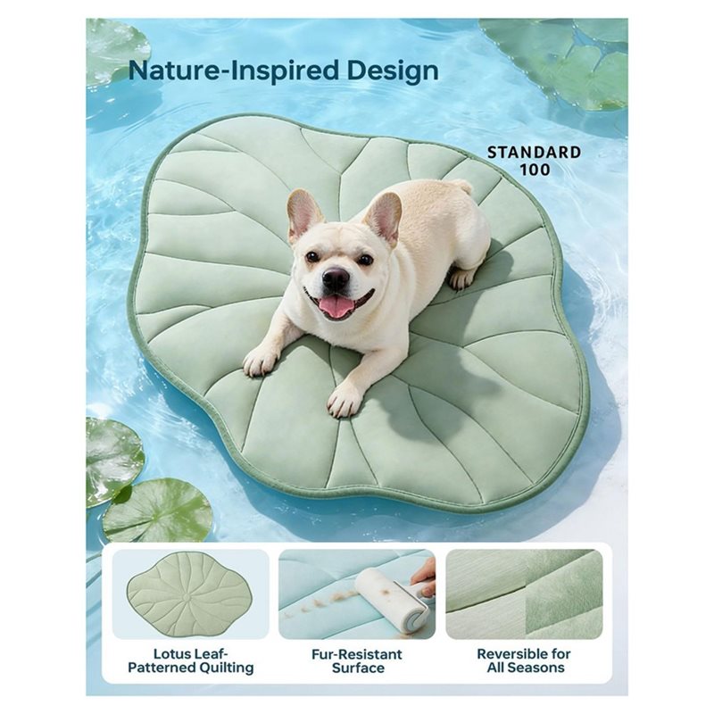 ABAE-Summer 2.0 Tapis rafraîch - Pet Supplies Self Wash avis et prix