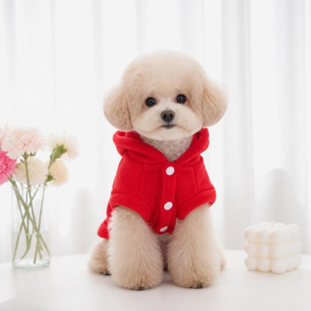 Vêtements pour animaux de comp - Pet Supplies Brighton avis et prix