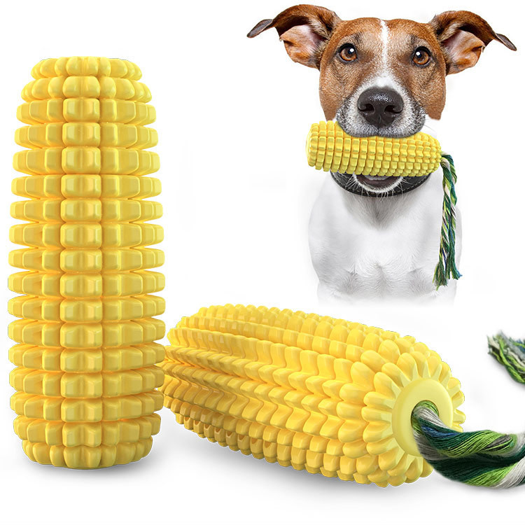 Jouet pour chien en forme de b - Pet Supplies Amazon avis et prix