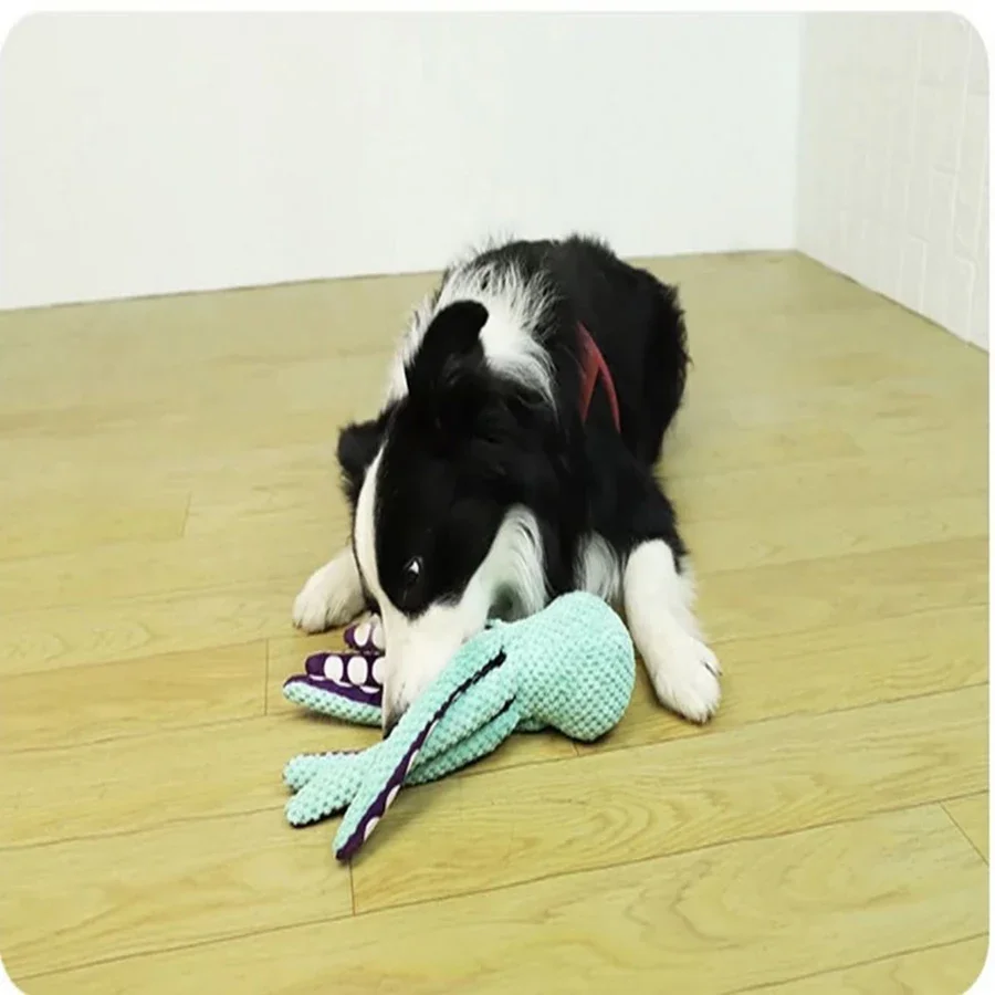 Jouet interactif en peluche po - Dog Treat Puzzle Toy avis et prix