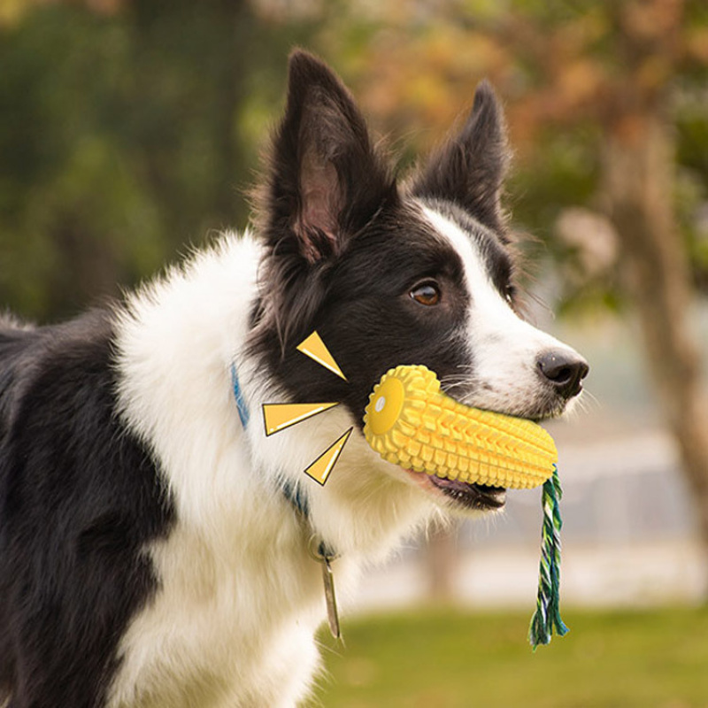 Fournitures pour animaux de co - Pet Supplies Amazon avis et prix