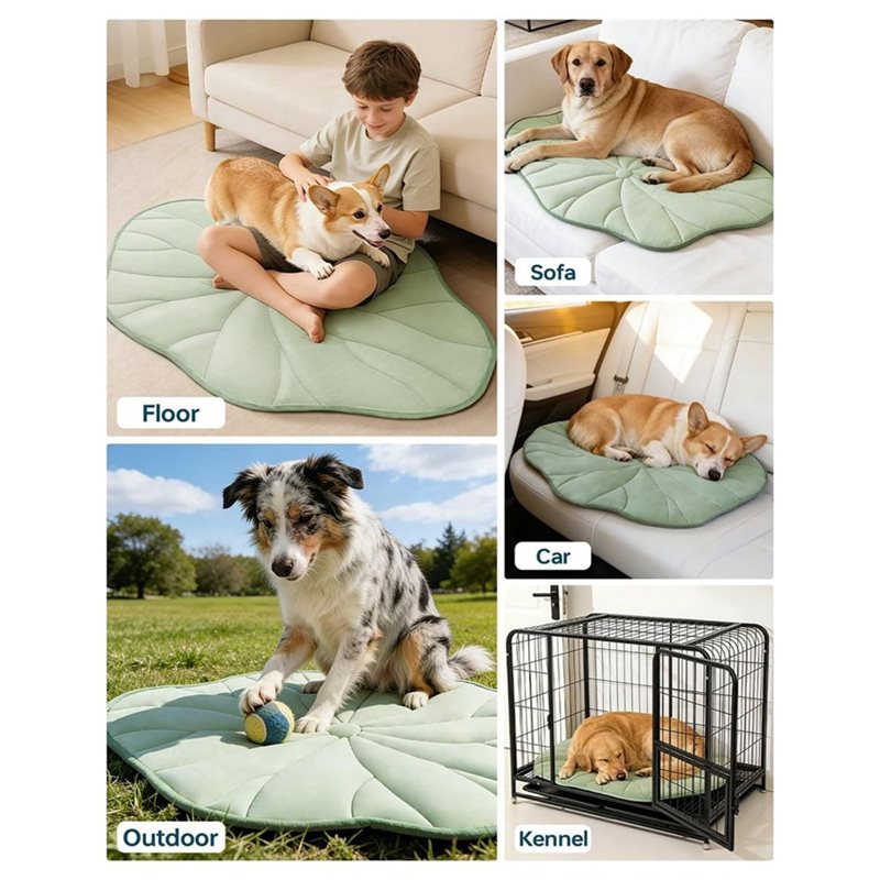 [NEWA08R】 Tapis rafraîchissant - Pet Supplies Self Wash avis et prix