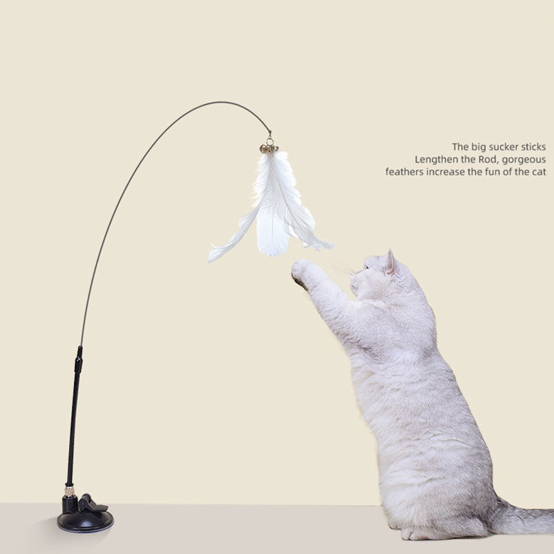 Nouveau bâton taquin pour chat - Pet Supplies Amazon avis et prix