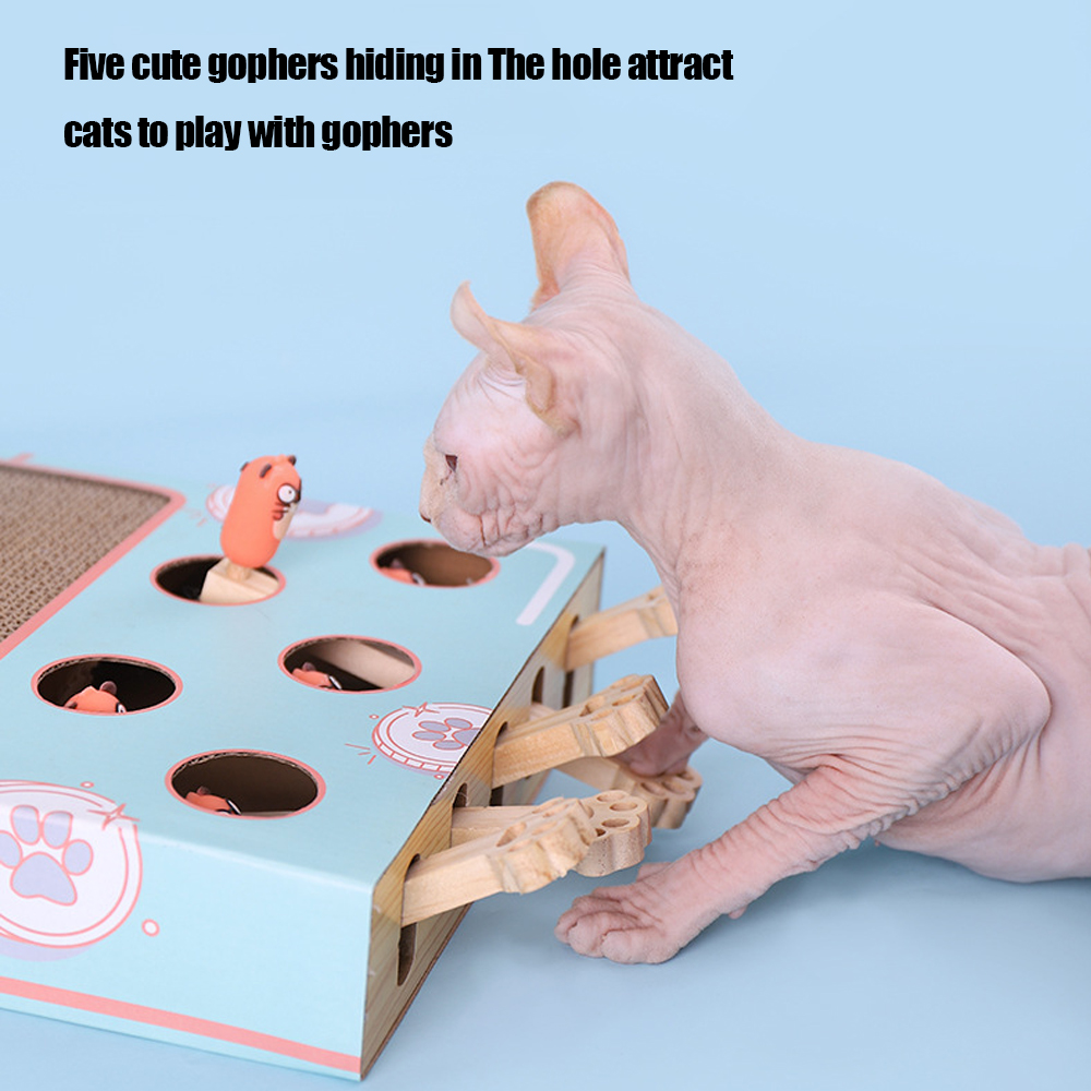 Boîte de jeu pour chat, labyri - Dog Treat Puzzle Toy avis et prix