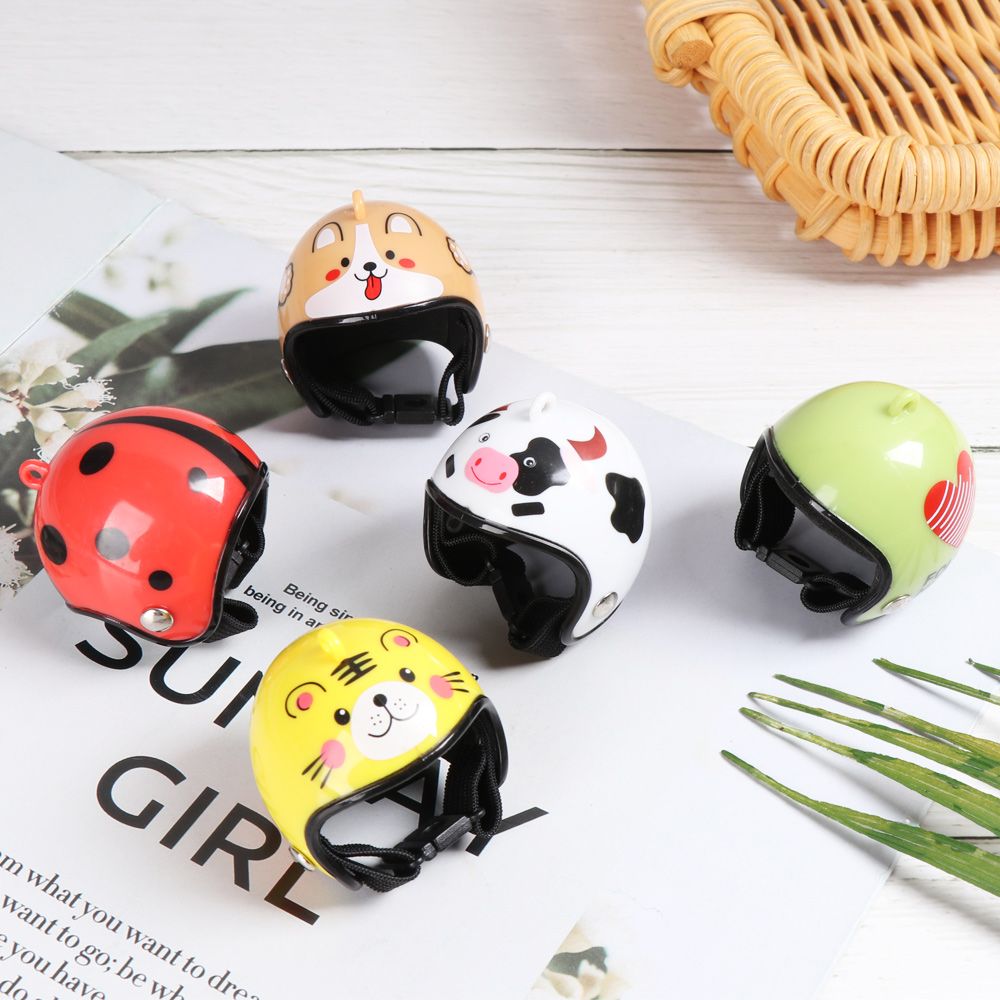 Accessoires pour animaux de co - Pet X Supplies & Tack Grooming avis et prix