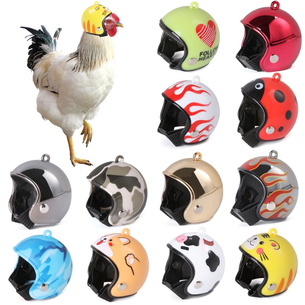 Accessoires pour animaux de co - Pet X Supplies & Tack Grooming avis et prix