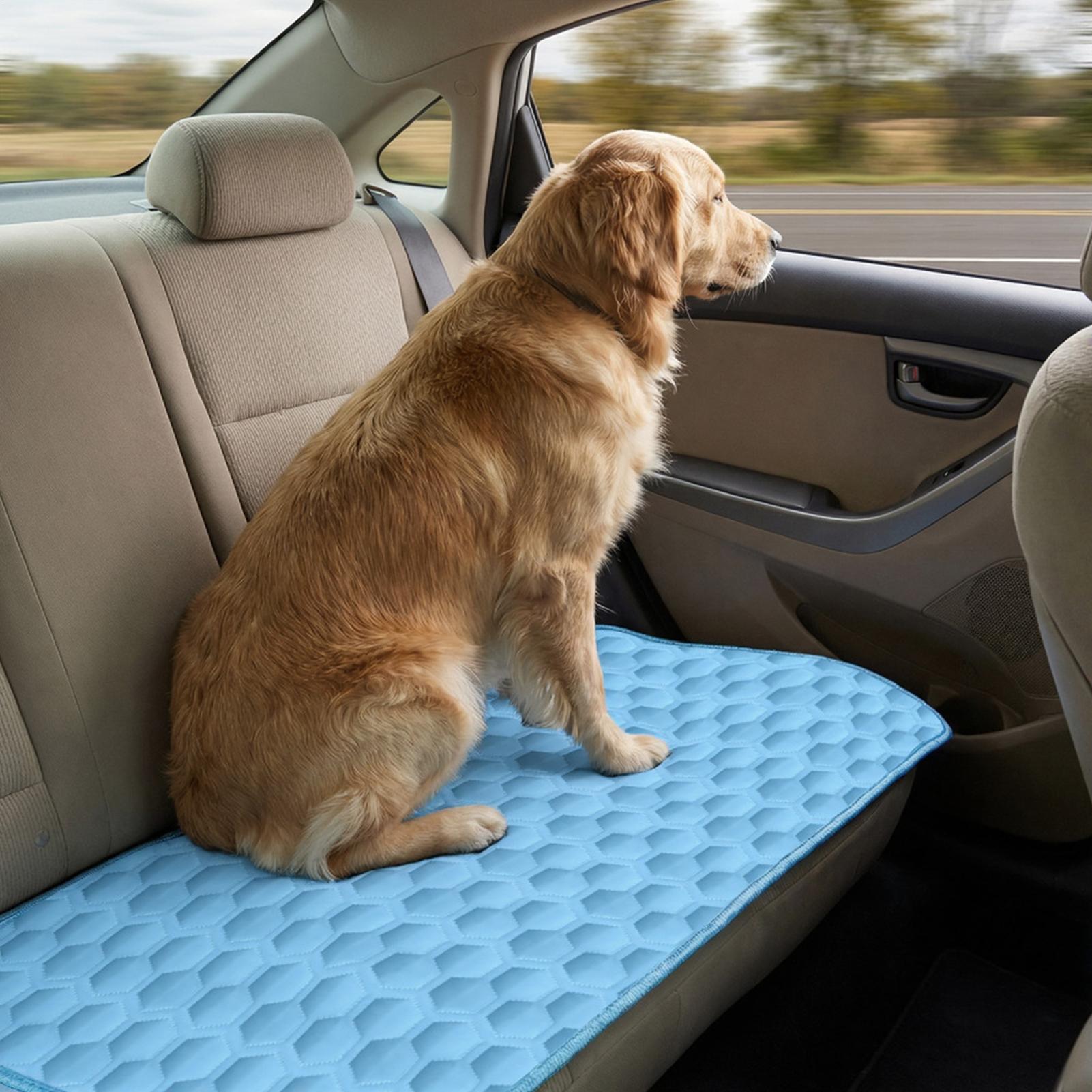 Tapis rafraîchissant d'été pou - Pet Supplies Self Wash avis et prix