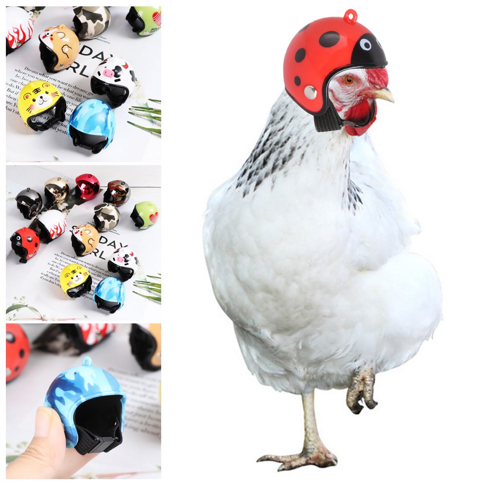 Casque de protection amusant p - Pet X Supplies & Tack Grooming avis et prix
