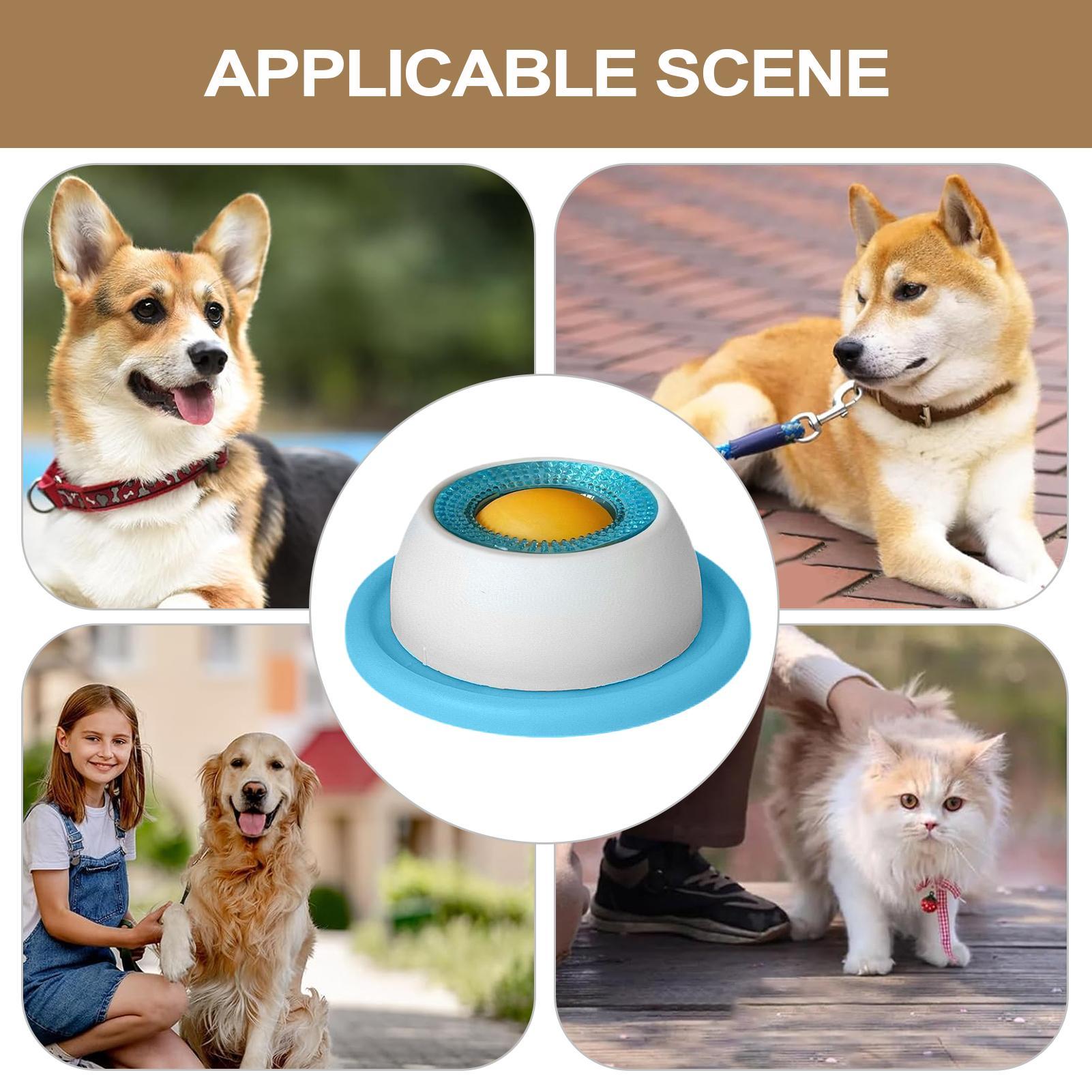 Jouet pour chien, accessoires  - Dog Treat Puzzle Toy avis et prix