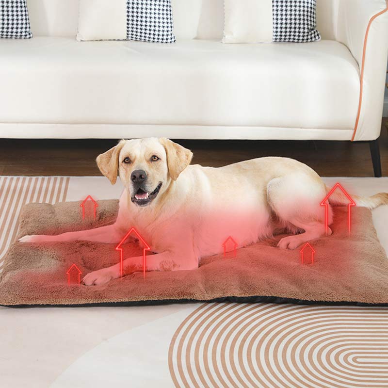 Tapis chauffant auto-chauffant - Pet Supplies Self Wash avis et prix