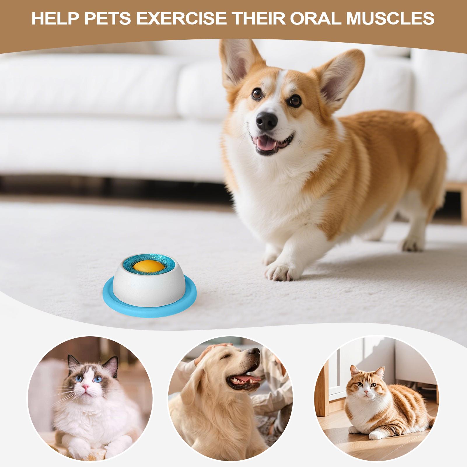Accessoires d'alimentation pou - Dog Treat Puzzle Toy avis et prix